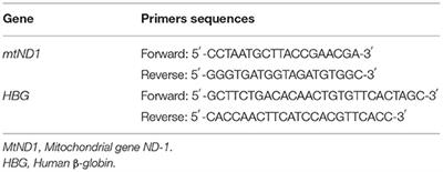 The Association Between Polymorphisms in Cell-Cycle Genes and Mitochondrial DNA Copy Number in Coke Oven Workers